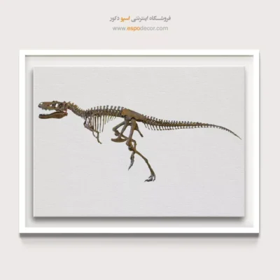تابلو اسکلت - اسپو دکور