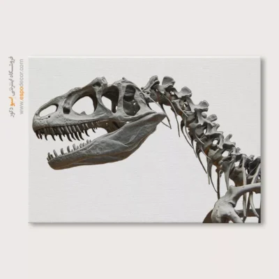 تابلو اسکلت - اسپو دکور