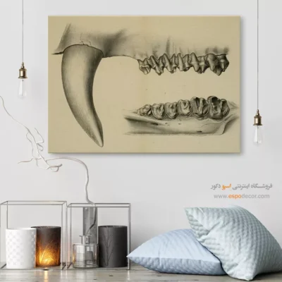 تابلو اسکلت - اسپو دکور