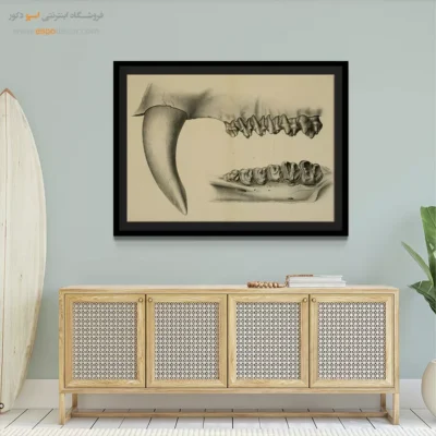 تابلو اسکلت - اسپو دکور