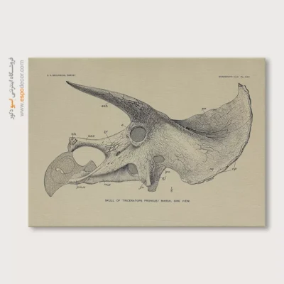 تابلو اسکلت - اسپو دکور