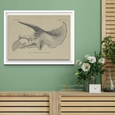 تابلو اسکلت - اسپو دکور