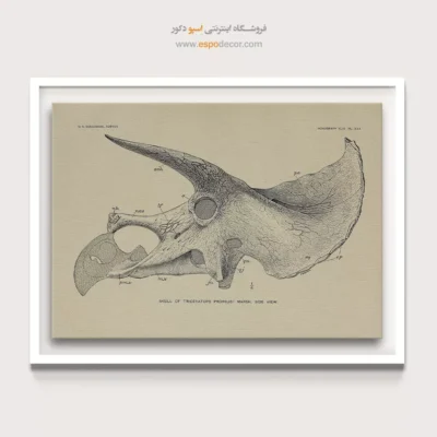 تابلو اسکلت - اسپو دکور