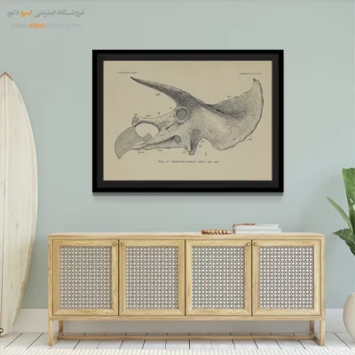 تابلو اسکلت - اسپو دکور