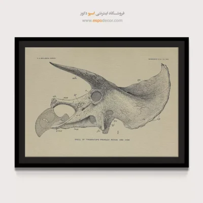 تابلو اسکلت - اسپو دکور