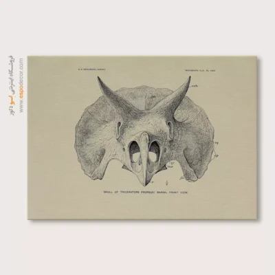 تابلو اسکلت - اسپو دکور