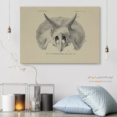 تابلو اسکلت - اسپو دکور