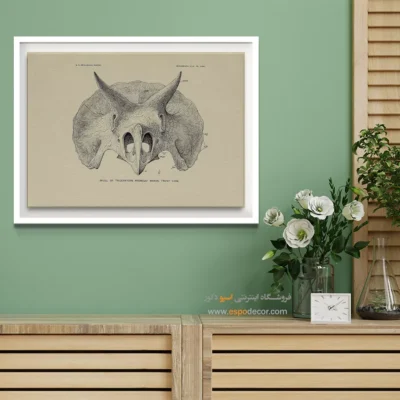 تابلو اسکلت - اسپو دکور