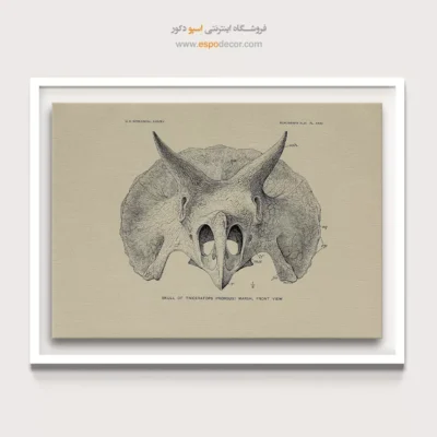 تابلو اسکلت - اسپو دکور