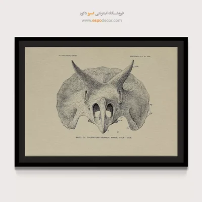 تابلو اسکلت - اسپو دکور