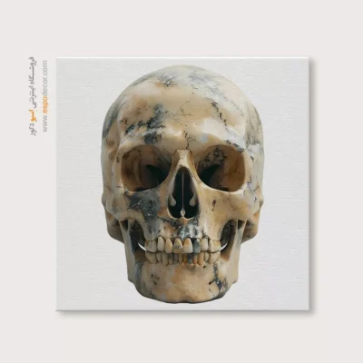 تابلو اسکلت - اسپو دکور