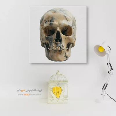 تابلو اسکلت - اسپو دکور