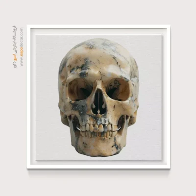 تابلو اسکلت - اسپو دکور