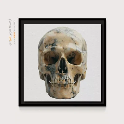 تابلو اسکلت - اسپو دکور