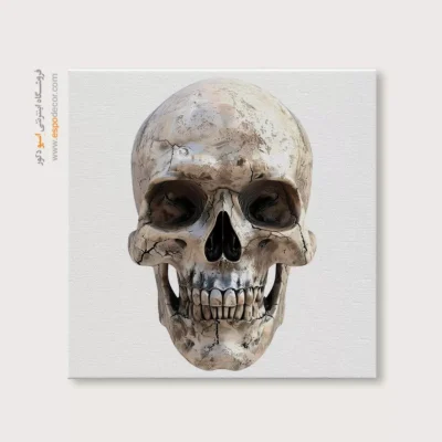 تابلو اسکلت - اسپو دکور