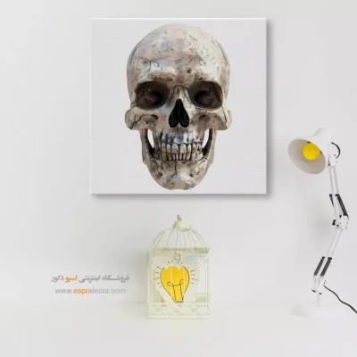 تابلو اسکلت - اسپو دکور