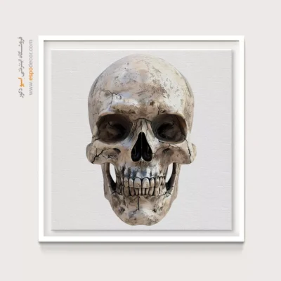 تابلو اسکلت - اسپو دکور