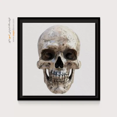 تابلو اسکلت - اسپو دکور