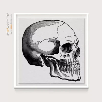 تابلو اسکلت - اسپو دکور