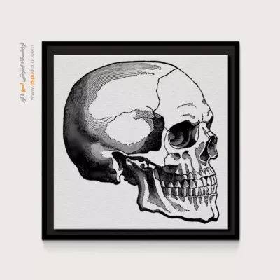 تابلو اسکلت - اسپو دکور