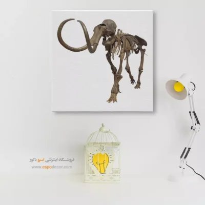 تابلو اسکلت - اسپو دکور