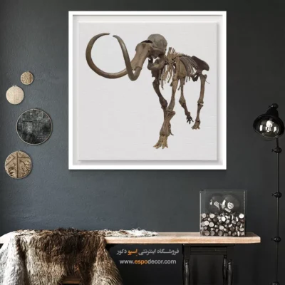 تابلو اسکلت - اسپو دکور