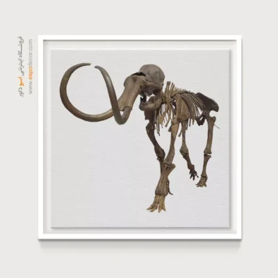 تابلو اسکلت - اسپو دکور