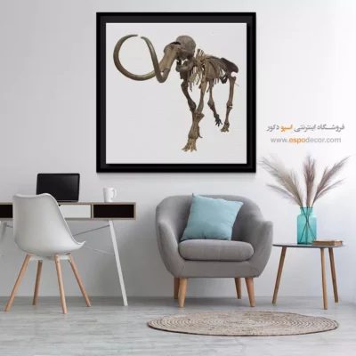 تابلو اسکلت - اسپو دکور