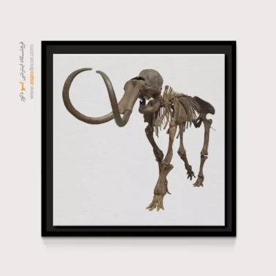 تابلو اسکلت - اسپو دکور