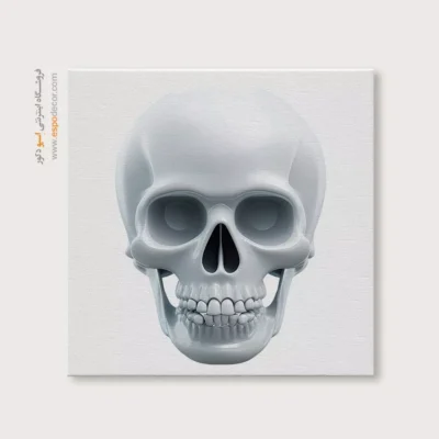 تابلو اسکلت - اسپو دکور