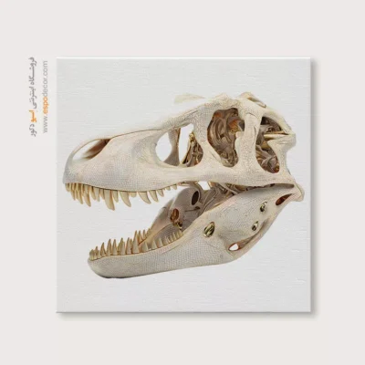 تابلو اسکلت - اسپو دکور