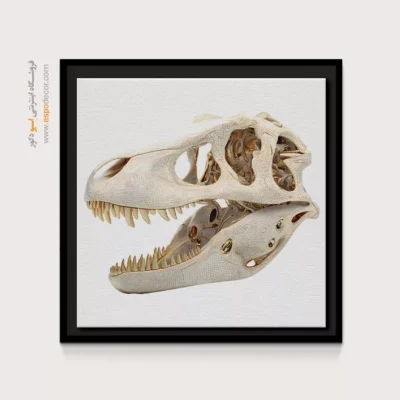 تابلو اسکلت - اسپو دکور