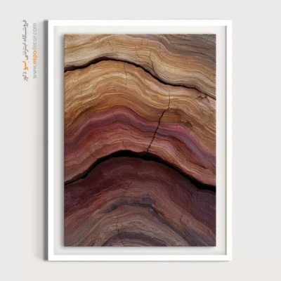 تابلو حلقه درخت - اسپو دکور