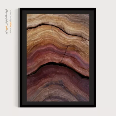 تابلو حلقه درخت - اسپو دکور