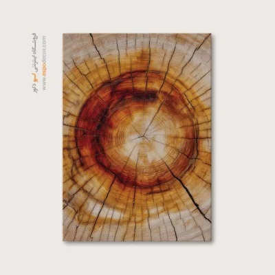 تابلو حلقه درخت - اسپو دکور