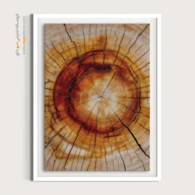 تابلو حلقه درخت - اسپو دکور