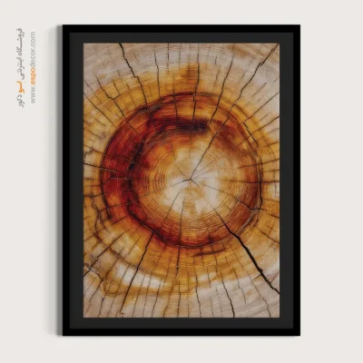 تابلو حلقه درخت - اسپو دکور