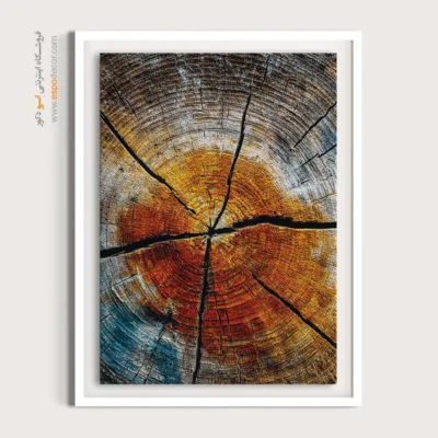 تابلو حلقه درخت - اسپو دکور