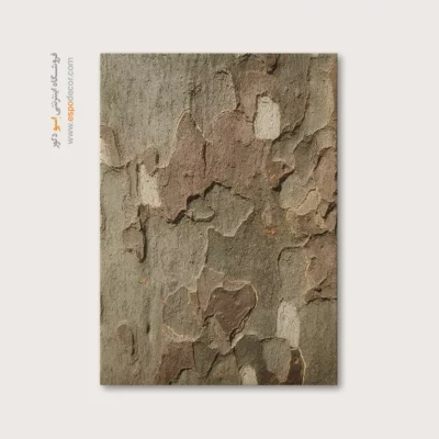 تابلو حلقه درخت - اسپو دکور