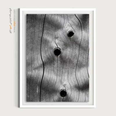 تابلو حلقه درخت - اسپو دکور