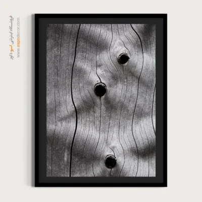 تابلو حلقه درخت - اسپو دکور