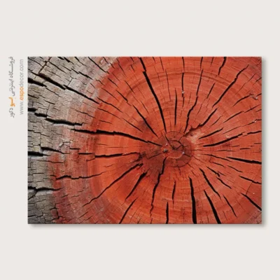 تابلو حلقه درخت - اسپو دکور