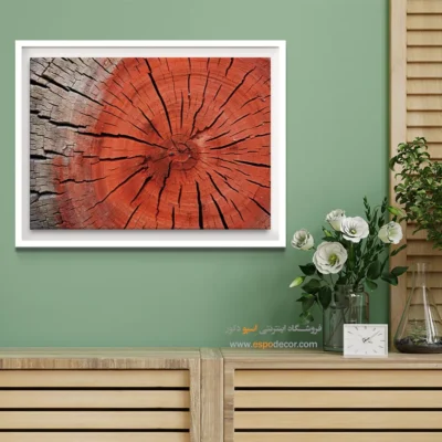 تابلو حلقه درخت - اسپو دکور