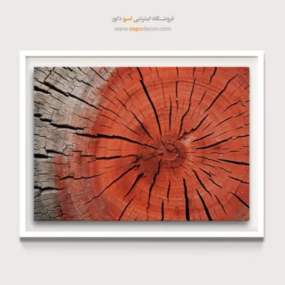 تابلو حلقه درخت - اسپو دکور