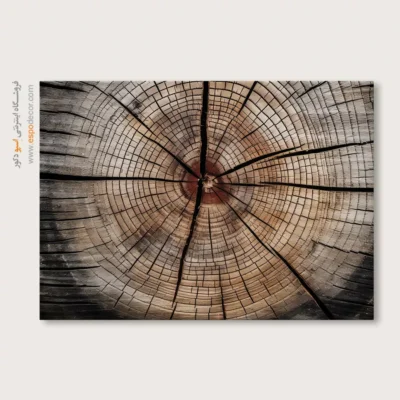 تابلو حلقه درخت - اسپو دکور