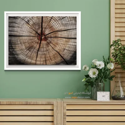 تابلو حلقه درخت - اسپو دکور