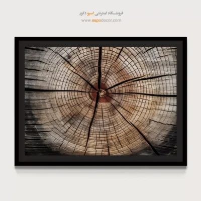 تابلو حلقه درخت - اسپو دکور