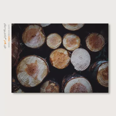 تابلو حلقه درخت - اسپو دکور