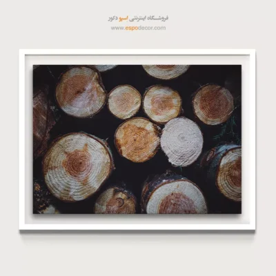 تابلو حلقه درخت - اسپو دکور