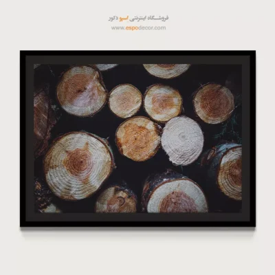 تابلو حلقه درخت - اسپو دکور